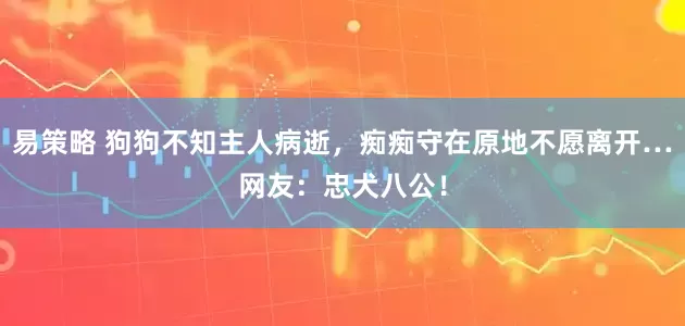 易策略 狗狗不知主人病逝，痴痴守在原地不愿离开…网友：忠犬八公！