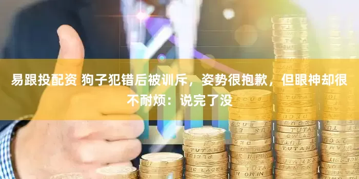易跟投配资 狗子犯错后被训斥，姿势很抱歉，但眼神却很不耐烦：说完了没